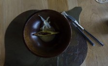 Aguacate Poblano